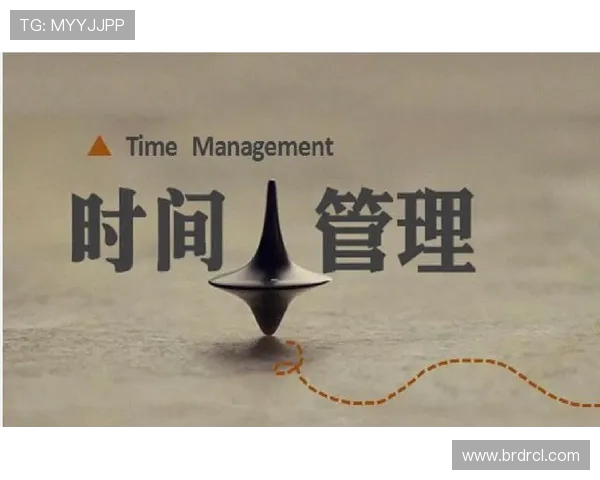 在顾全大局中寻求平衡与和谐的智慧与实践