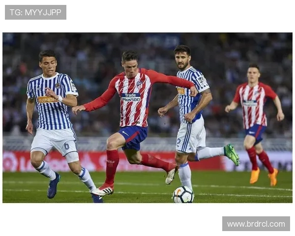 悉尼对阵布里斯班精彩直播全程回顾与赛后分析