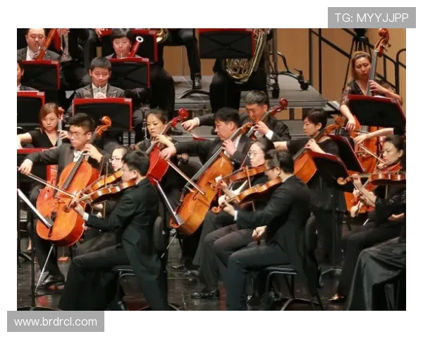 斯通斯乐队的传奇历程与音乐影响力解析