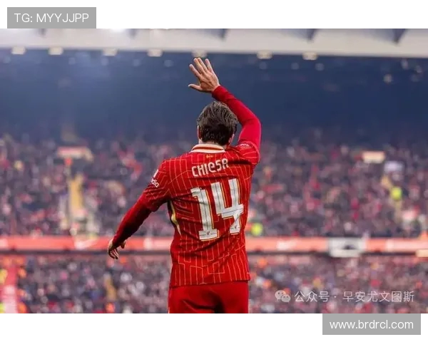 本菲卡对阵利物浦西芒精彩远射助球队争夺胜利