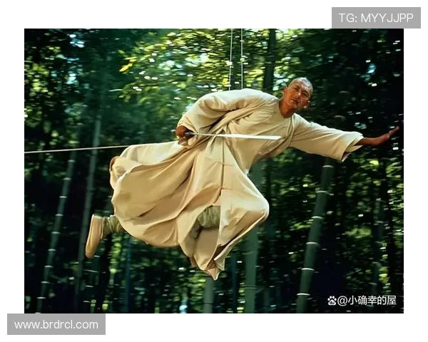 李安导演的电影艺术之路与文化交融的深刻探索与反思